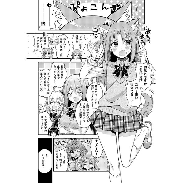 買動漫 蚤成漫同人誌預購 のりおいける 佃煮のりお ひめゴトもういっちょ 2 ひめゴト偽姬物語 附書套