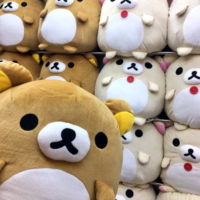【小學館 現貨】日版 8月景品 拉拉熊 懶懶熊 圓滾滾 特大絨毛娃娃 布偶 2款一套 *超商僅能一組
