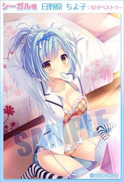 (響代購)(預約)PC SEAGULL D.C.4 ~ダ・カーポ4~ 初回限定版 D.C. 戀愛學園 初音島 Circus