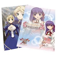Fate / saty night L型資料夾(12)