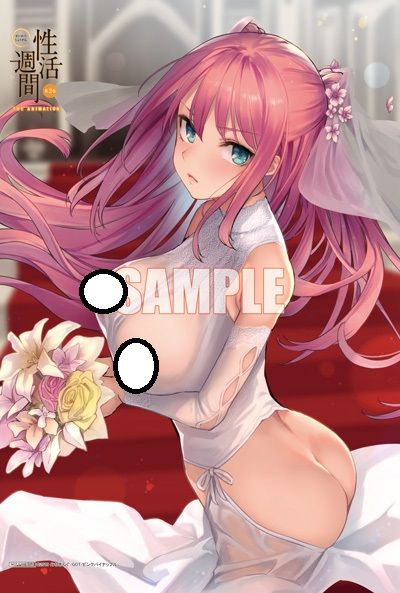 響代購/預約 DVD GETCHU 特典 B2掛軸 性活週間 THE ANIMATION 第2巻 ピンクパイナップル/みちきんぐ/GOT