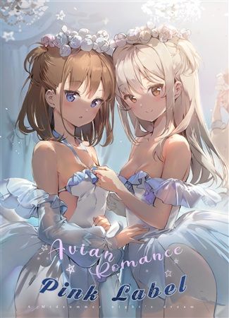 響代購/預約/C96 同人誌 一般 原創 插畫集 特典 Anmi(メガネ少女)Avian Romance Pink Label6 m544801