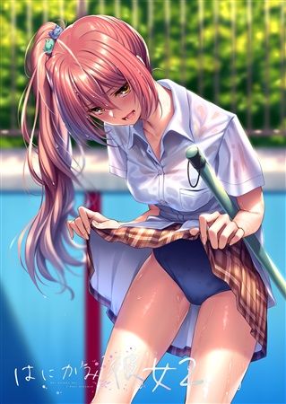 響代購/預約/C96 同人誌 一般 原創 插畫集 ピロ水(まほ~びん)はにかみ彼女2 m541903