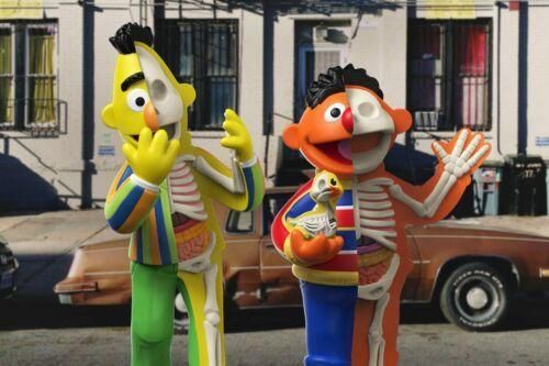 【小學館 08/26前預購】《超取付免訂金》Mighty Jaxx XXRAY PLUS Bert & Ernie 2019年12月