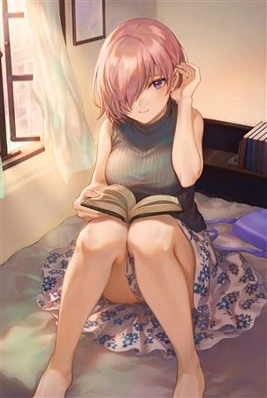 響代購/預約 週邊 瑪修 B2掛軸 Fate Grand Order FGO ファッションモデル「マシュ」B2タペストリー ねこのおやしろ ましゅー m554246