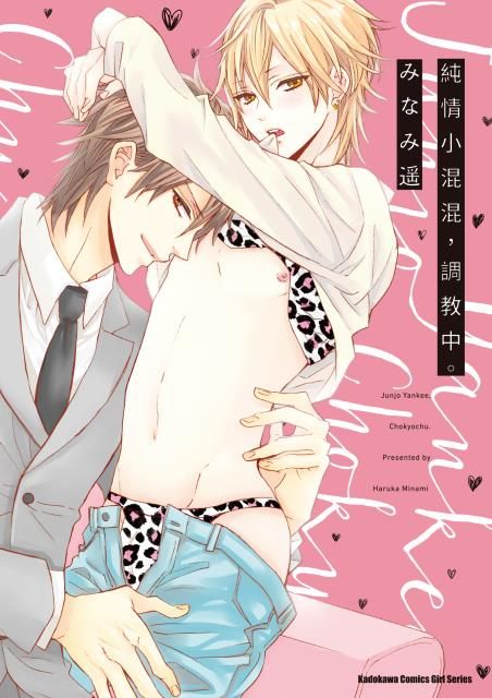 【yaoi會社】現貨 みなみ 遥「純情小混混,調教中。」全新、送書套/角川BL漫畫/2019.10.4出版