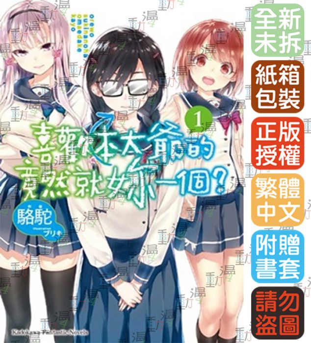♞BJ4動漫♙喜歡本大爺的竟然就妳一個?1+尼彩PP書套│駱駝│角川小說