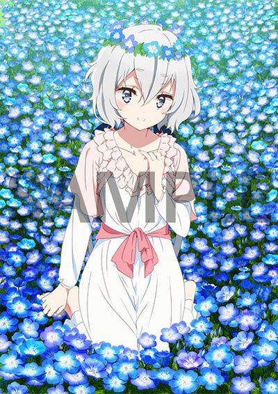 響代購/預約 CD Animate 專輯Album 佐賀偶像是傳奇 Zombieland SAGA ゾンビランドサガ フランシュシュ The Best