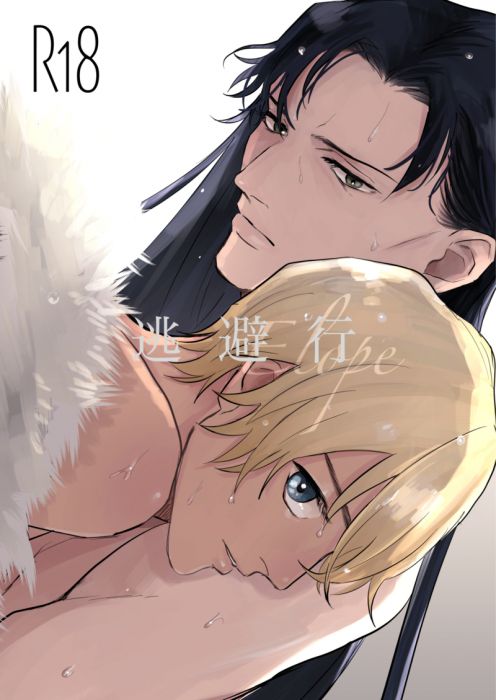響代購/預約/少女向同人誌 名偵探柯南 もこつ(聡明じゃない)逃避行 赤井秀一×安室透 040030780583