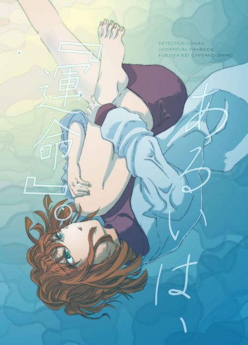 響代購/預約/少女向同人誌 名偵探柯南 ヴィレフィー(白ロビン)あるいは、『運命』。 降谷零×宮野志保 040030712516