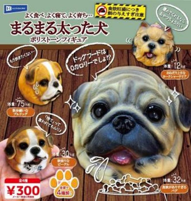 【小學館12/08前預購】《超商取付免訂金》RAINBOW 日版 轉蛋 扭蛋 圓圓胖胖犬 沙皮狗 樹脂公仔4款一套 2020年4月