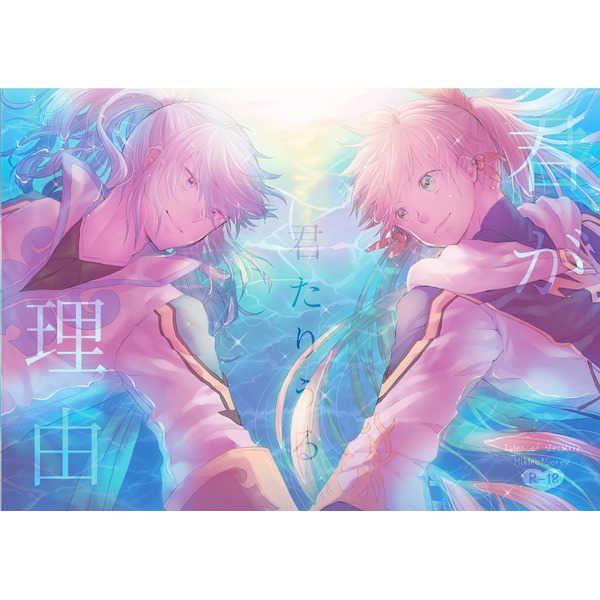 響代購/預約/少女向同人誌 深淵傳奇 熱情傳奇 mana(merry*merry)君が君たりうる理由 040030626902