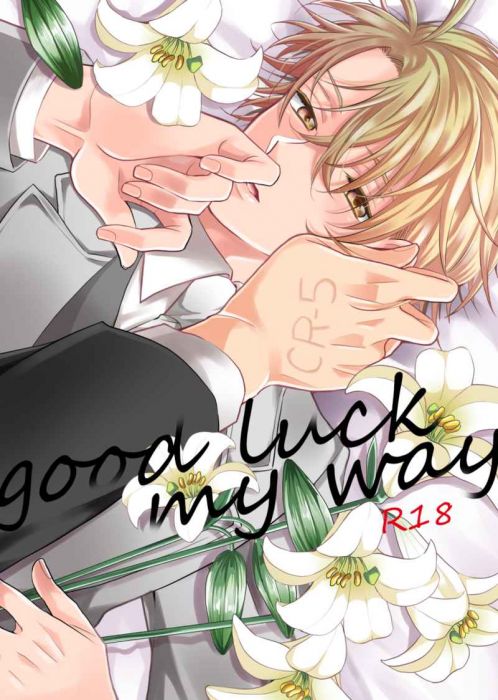 響代購/預約/少女向同人誌 Lucky Dog 1 もちだまいこ(Vivid End)good luck my way 040030806989