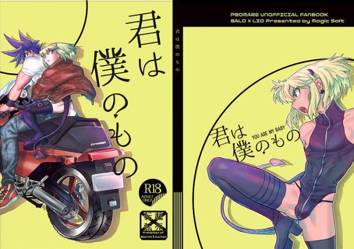 響代購/預約/少女向同人誌 普羅米亞 Gim(MagicSalt)君は僕のもの 040030816823