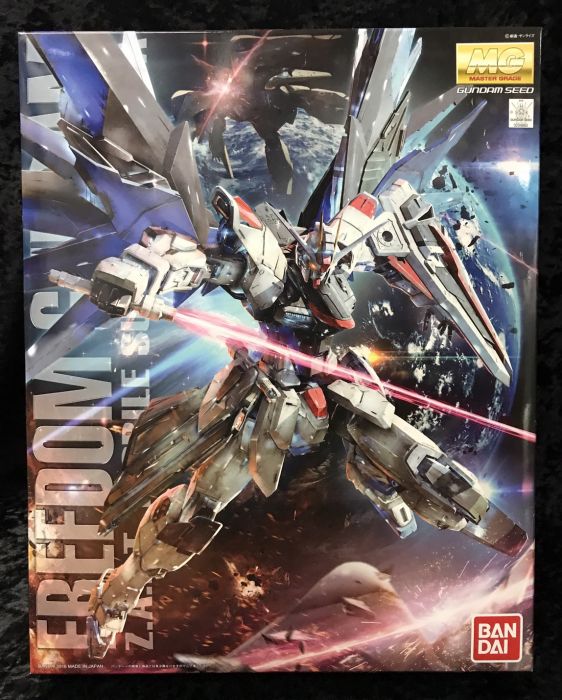 《GTS》BANDAI/萬代/ MG 1/ 100 異端鋼彈藍色機二型 藍色異端組裝模型 0160998