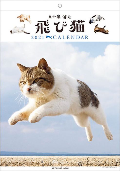 【ACG網路書店】(代訂)4995027025692 CL-402 五十嵐健太 飛び猫/跳躍的貓 2021年壁掛月曆37*26cm*13張