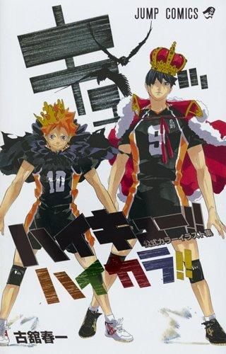 【ACG網路書店】(現貨)9784088814896 排球少年!! 彩色插畫集 ハイカラ!!