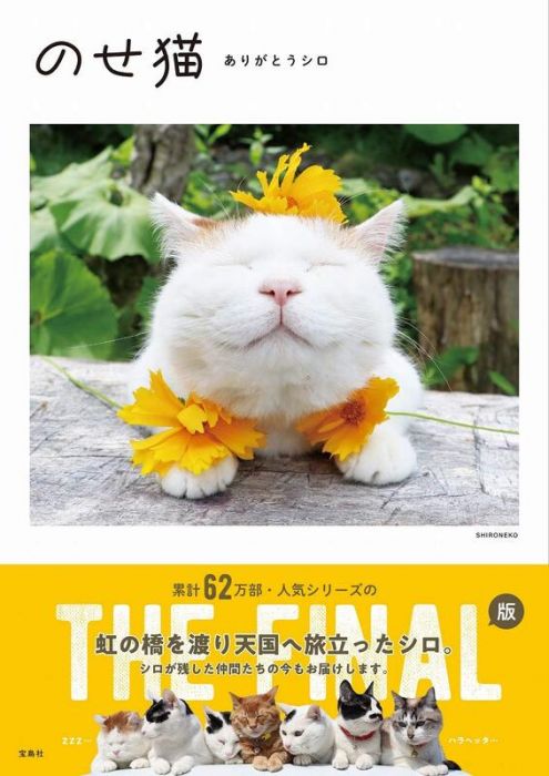 【ACG網路書店】(代訂)9784299009593 籃子貓/貓叔 寫真集「のせ猫 ありがとうシロ」