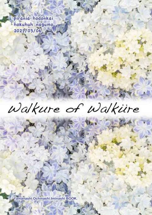 買動漫 Mu S 同人誌代購 北風南雲 ピラニア保存会 Walkure Of Walkure 超時空要塞系列 買動漫 Mu S 同人誌代購 北風南雲 ピラニア保存会 Walkure Of Walkure 超時空要塞系列