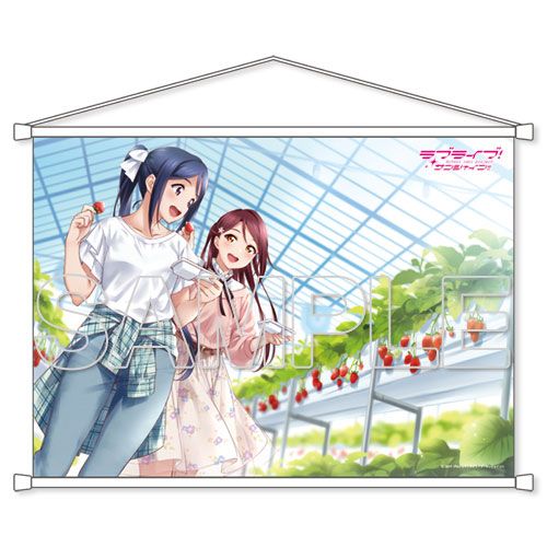 買動漫 四葉亭 預約7月lovelive Sunshine Aqours 梨子 果南b2掛軸0412