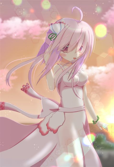 買動漫 Mu S 同人掛軸代購 そあ えるく Gla World シクラメン タペストリー 美少女花騎士