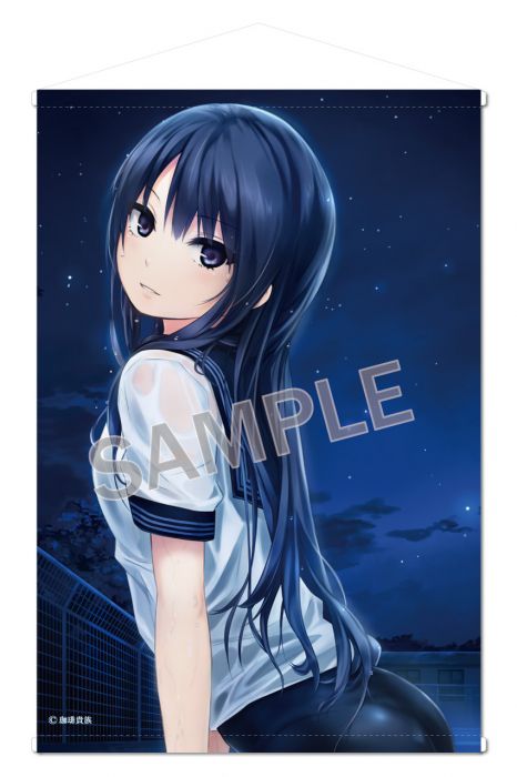 買動漫 台中卡通 預購9月 免訂金 Blendream 珈琲貴族secret Night 白峰莉花b2掛軸0808 買動漫 台中卡通 預購9月 免訂金 Blendream 珈琲貴族secret Night 白峰莉花b2掛軸0808
