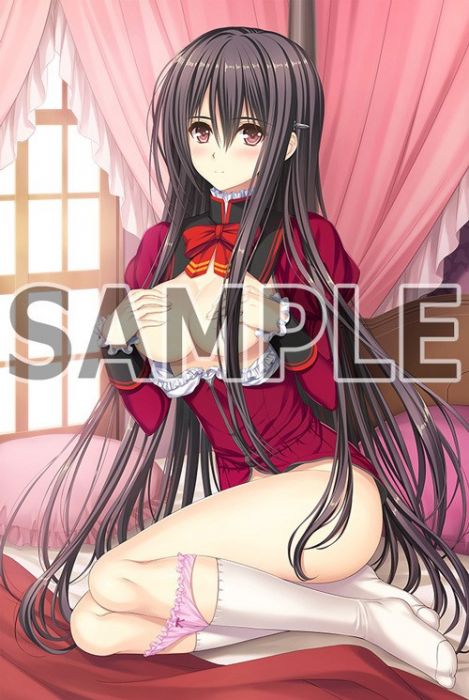 買動漫 Vgamer 預約1月日版処女はお姉さまに恋してる3つのきら星 結城密 B2掛軸隨時截止