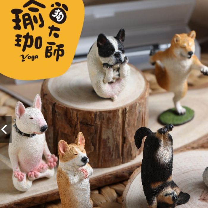 買動漫 扭蛋達人 2月預定朝隈俊男animal Life 第一彈 狗瑜珈大師全6種 預定特價