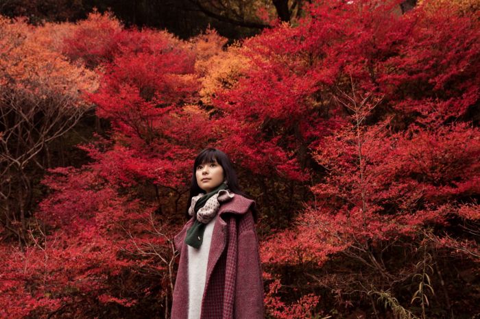 買動漫 布魯樂 代訂 空運 日版書籍 日本女演員 芳根京子 初寫真集芳根京子ファースト写真集 ネコソガレ 買動漫 布魯樂 代訂 空運 日版書籍 日本女演員 芳根京子 初寫真集芳根京子ファースト写真集 ネコソガレ